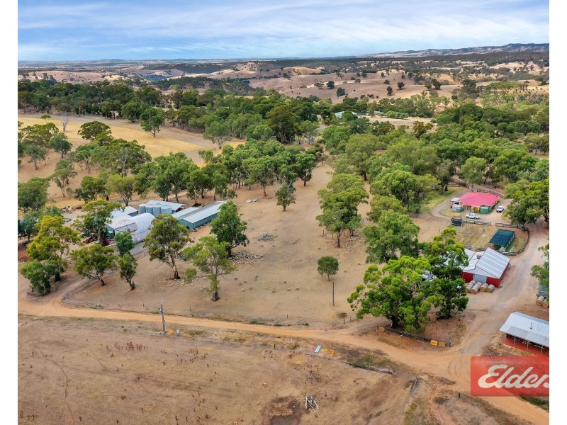 1278 Gawler One Tree Hill Road, One Tree Hill SA 5114
