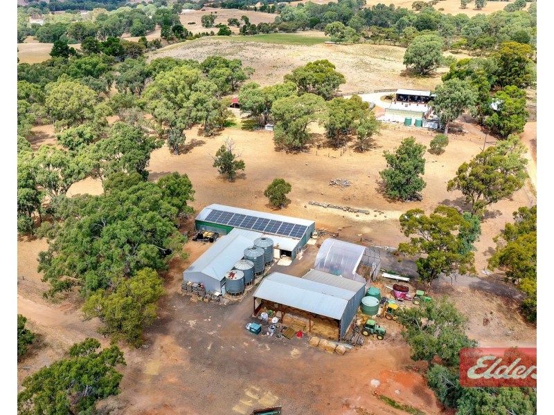1278 Gawler One Tree Hill Road, One Tree Hill SA 5114