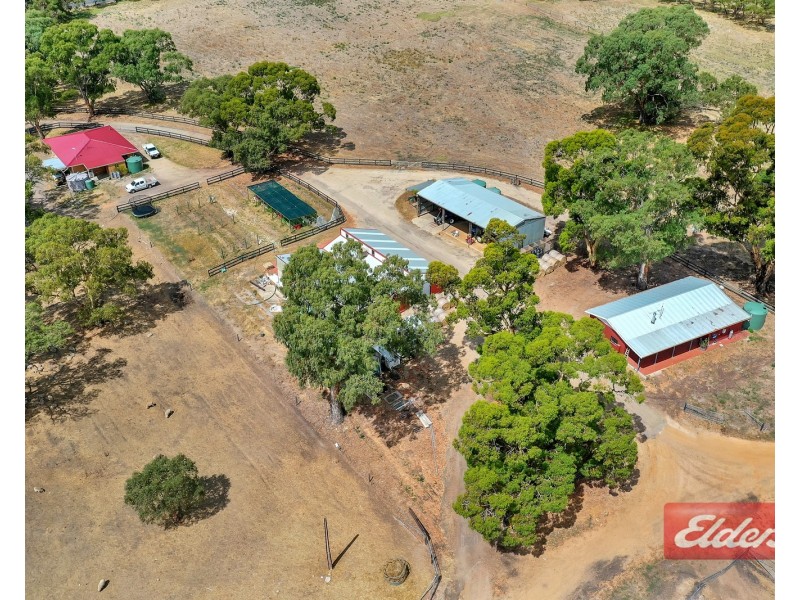 1278 Gawler One Tree Hill Road, One Tree Hill SA 5114