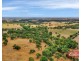 1278 Gawler One Tree Hill Road, One Tree Hill SA 5114