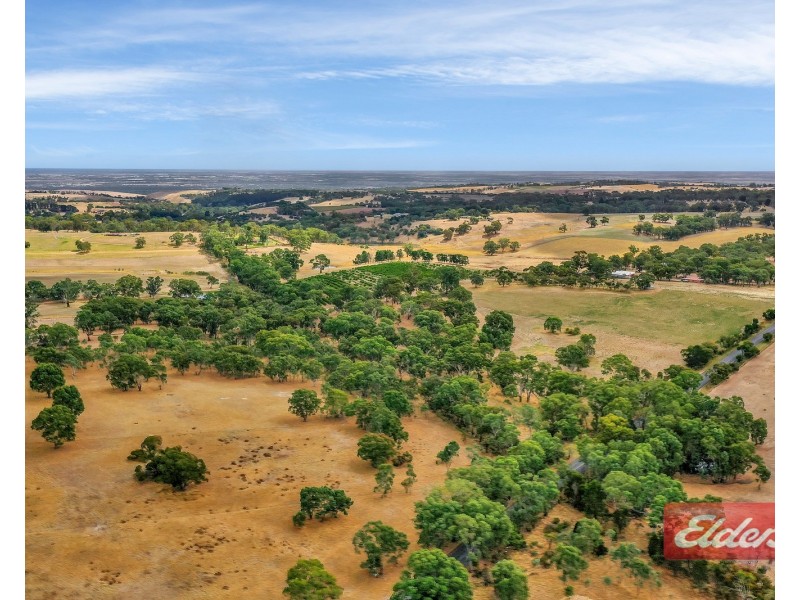 1278 Gawler One Tree Hill Road, One Tree Hill SA 5114