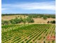 1278 Gawler One Tree Hill Road, One Tree Hill SA 5114
