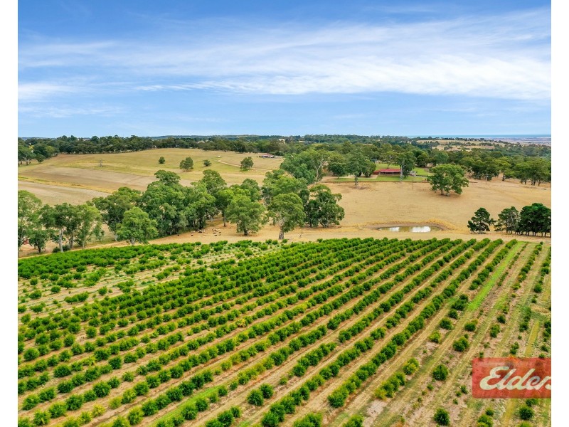 1278 Gawler One Tree Hill Road, One Tree Hill SA 5114