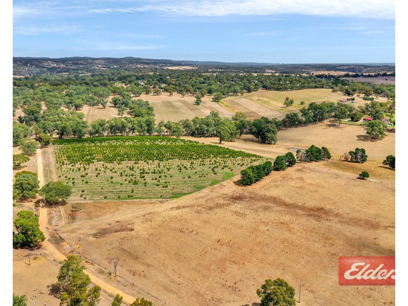 1278 Gawler One Tree Hill Road, One Tree Hill SA 5114