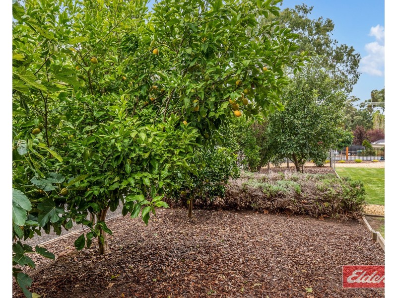 23A Scott Street, Kersbrook SA 5231