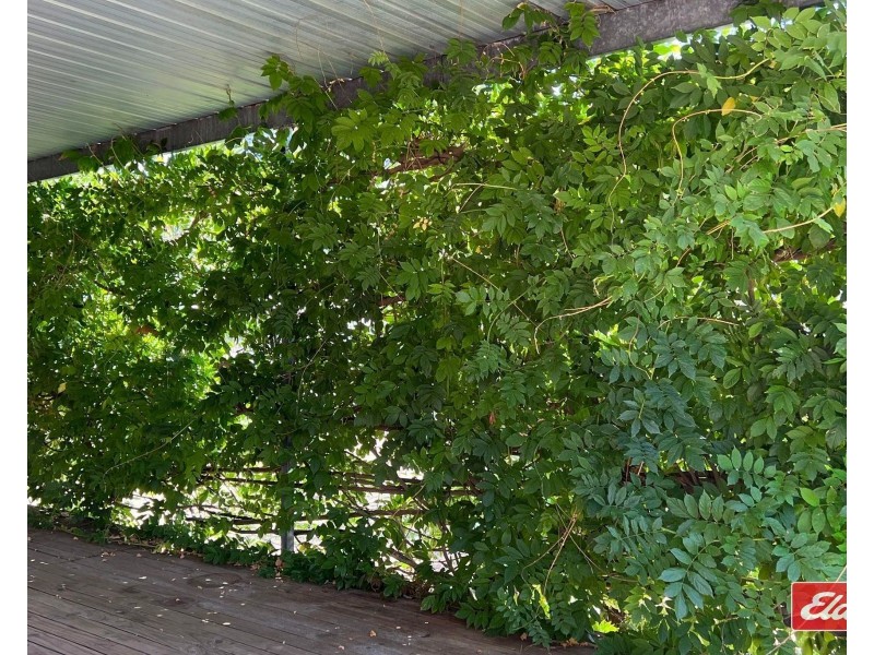 22 Wild Street, Williamstown SA 5351