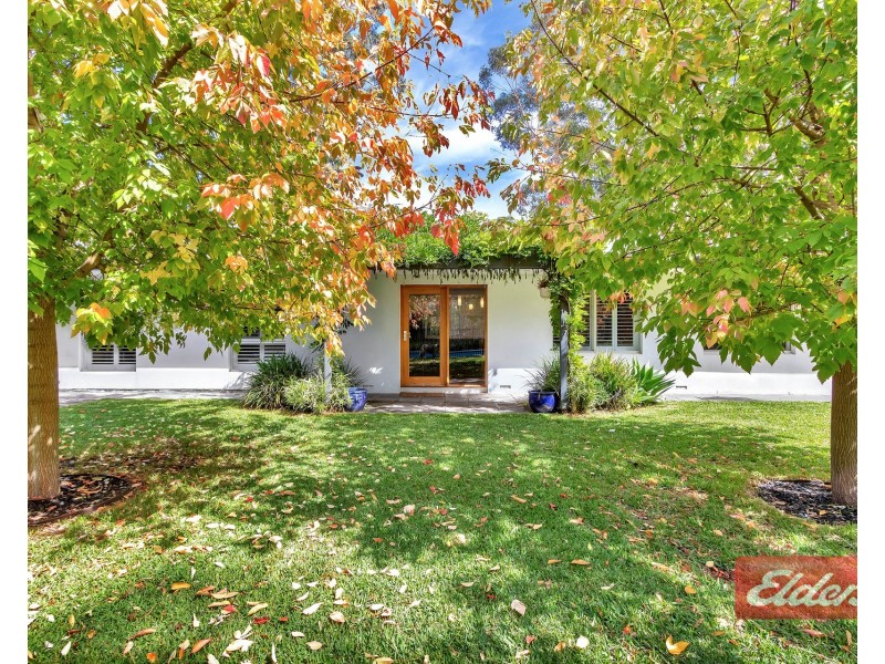 303 Yettie Road, Williamstown SA 5351