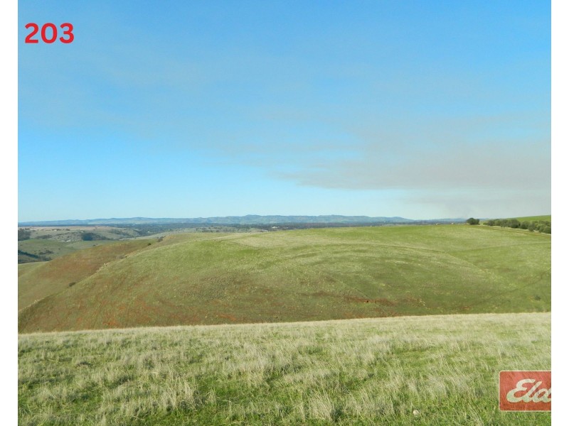Lot 202 & 203 , Gawler One Tree Hill Road, One Tree Hill SA 5114