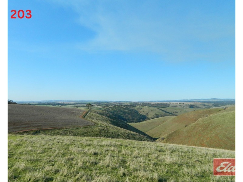 Lot 202 & 203 , Gawler One Tree Hill Road, One Tree Hill SA 5114