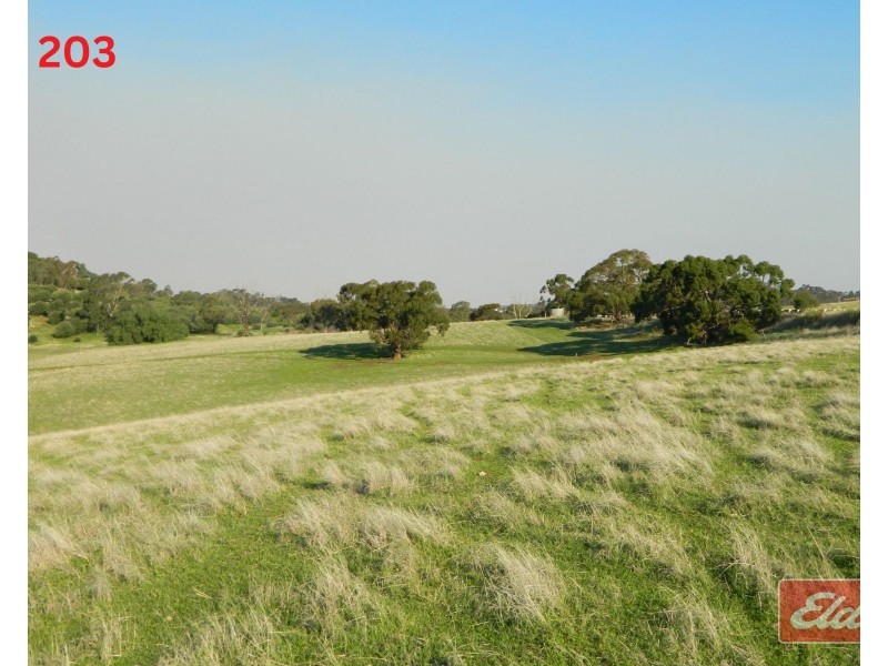 Lot 202 & 203 , Gawler One Tree Hill Road, One Tree Hill SA 5114