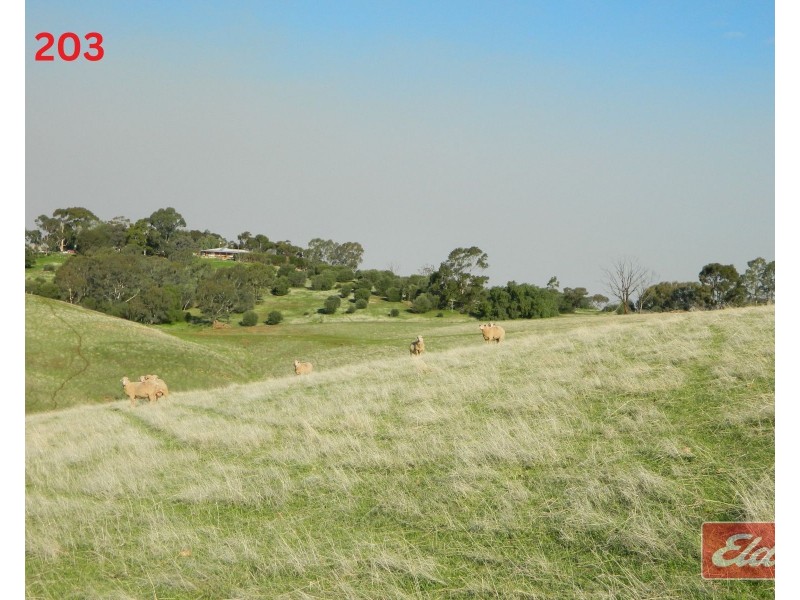 Lot 202 & 203 , Gawler One Tree Hill Road, One Tree Hill SA 5114