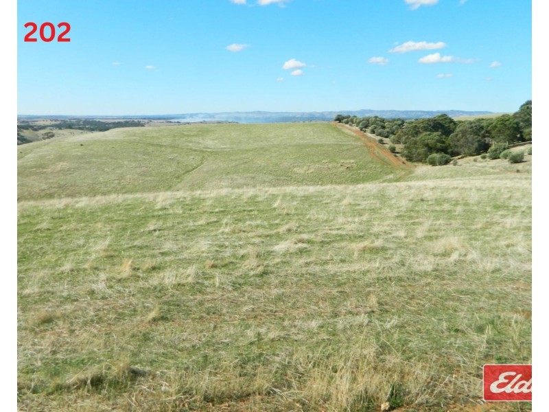 Lot 202 & 203 , Gawler One Tree Hill Road, One Tree Hill SA 5114