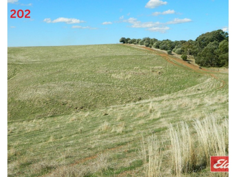 Lot 202 & 203 , Gawler One Tree Hill Road, One Tree Hill SA 5114