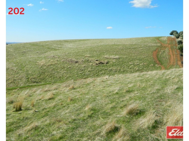 Lot 202 & 203 , Gawler One Tree Hill Road, One Tree Hill SA 5114