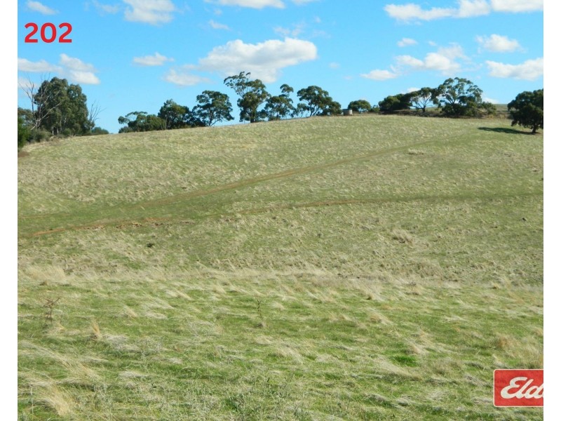 Lot 202 & 203 , Gawler One Tree Hill Road, One Tree Hill SA 5114