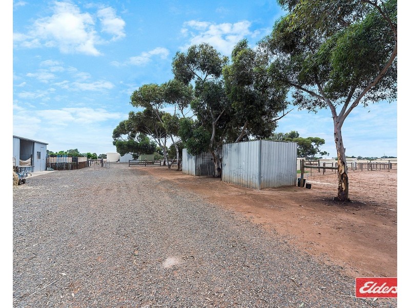 427 Stott Road, Magdalla SA 5400