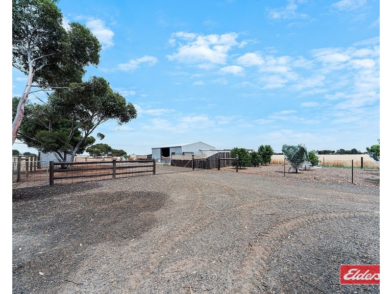 427 Stott Road, Magdalla SA 5400