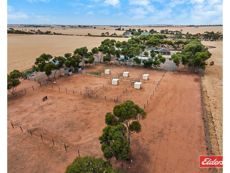 427 Stott Road, Magdalla SA 5400