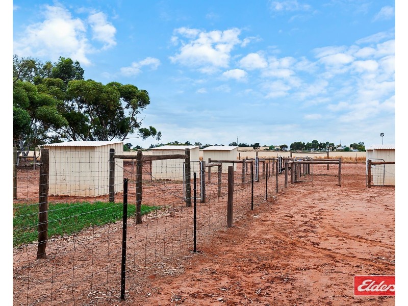 427 Stott Road, Magdalla SA 5400