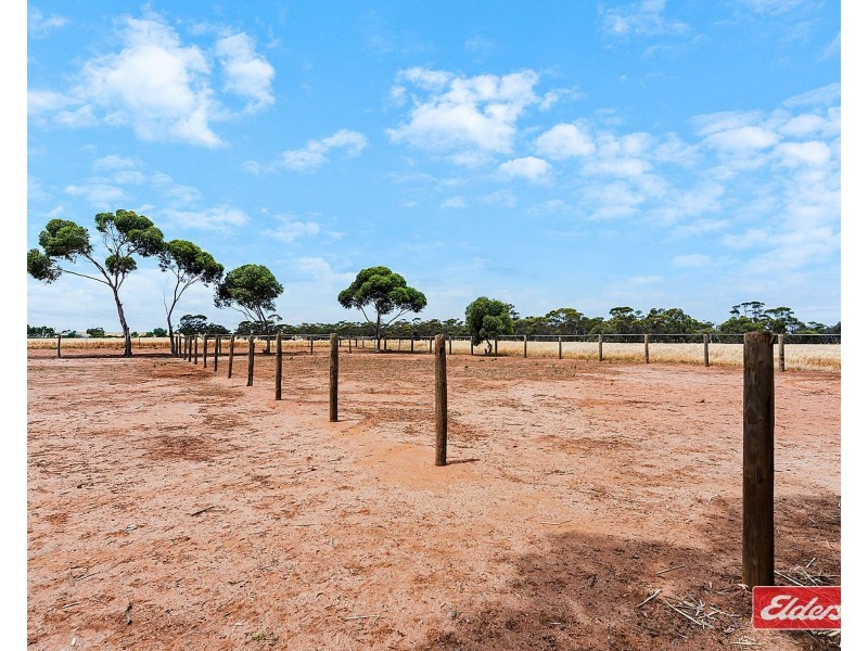 427 Stott Road, Magdalla SA 5400