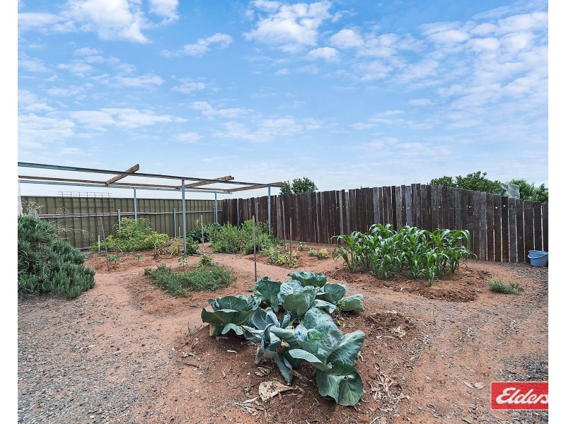 427 Stott Road, Magdalla SA 5400