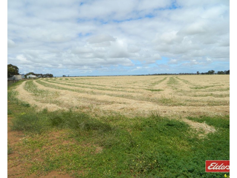 427 Stott Road, Magdalla SA 5400