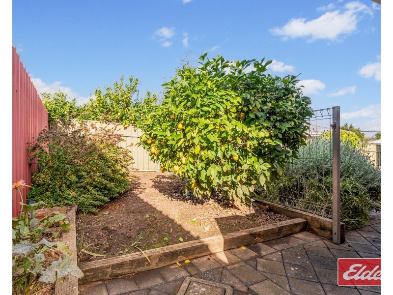 68 Haines Road, Willaston SA 5118