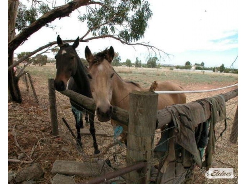 37 Wattle Terrace, Kudla SA 5115