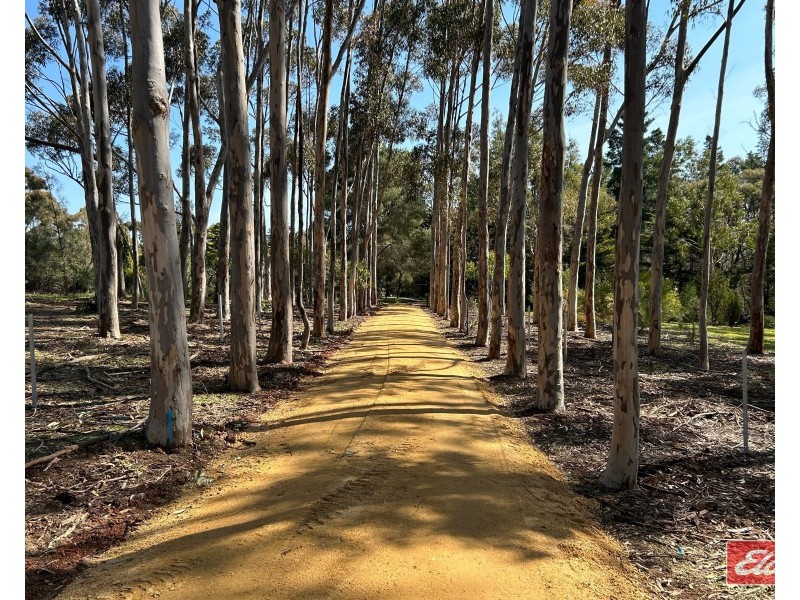 Lot 3 Alexander Murray Road, Williamstown SA 5351