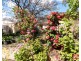 Lot 3 Alexander Murray Road, Williamstown SA 5351