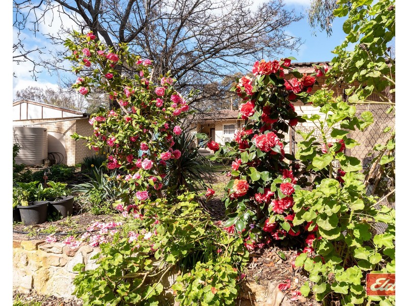Lot 3 Alexander Murray Road, Williamstown SA 5351