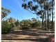 Lot 7 Alexander Murray Road, Williamstown SA 5351
