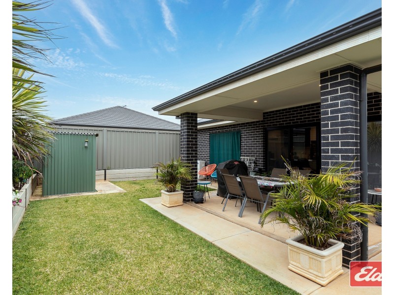 13 Atwell Crescent, Evanston South SA 5116