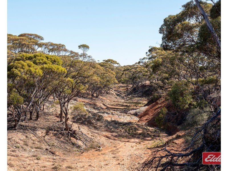Sec 288 Stock Route Road, Sutherlands SA 5374