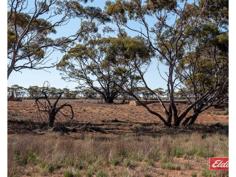 Sec 288 Stock Route Road, Sutherlands SA 5374