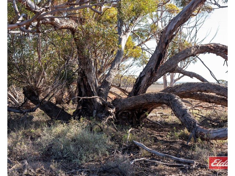 Sec 288 Stock Route Road, Sutherlands SA 5374