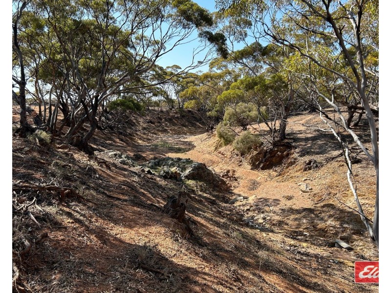 Sec 288 Stock Route Road, Sutherlands SA 5374