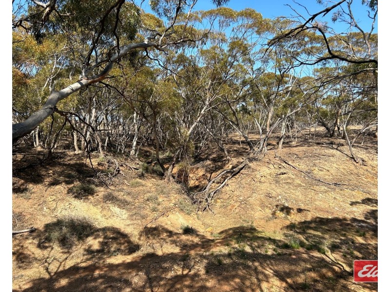 Sec 288 Stock Route Road, Sutherlands SA 5374