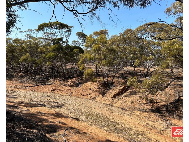 Sec 288 Stock Route Road, Sutherlands SA 5374