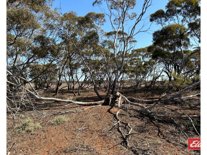 Sec 288 Stock Route Road, Sutherlands SA 5374