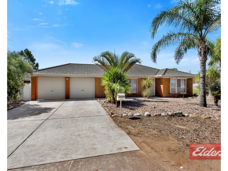 53 Clark Road, Evanston Gardens SA 5116