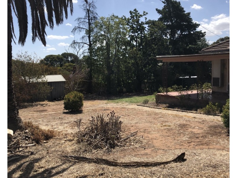 12 Turner Street, Gawler East SA 5118