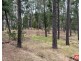 Lot 5 Alexander Murray Road, Williamstown SA 5351