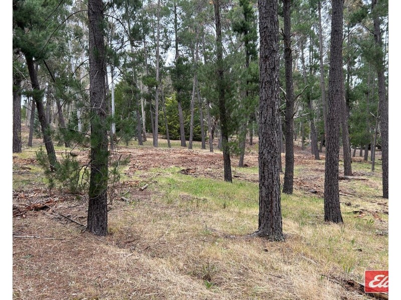 Lot 5 Alexander Murray Road, Williamstown SA 5351