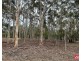 Lot 6 Alexander Murray Road, Williamstown SA 5351