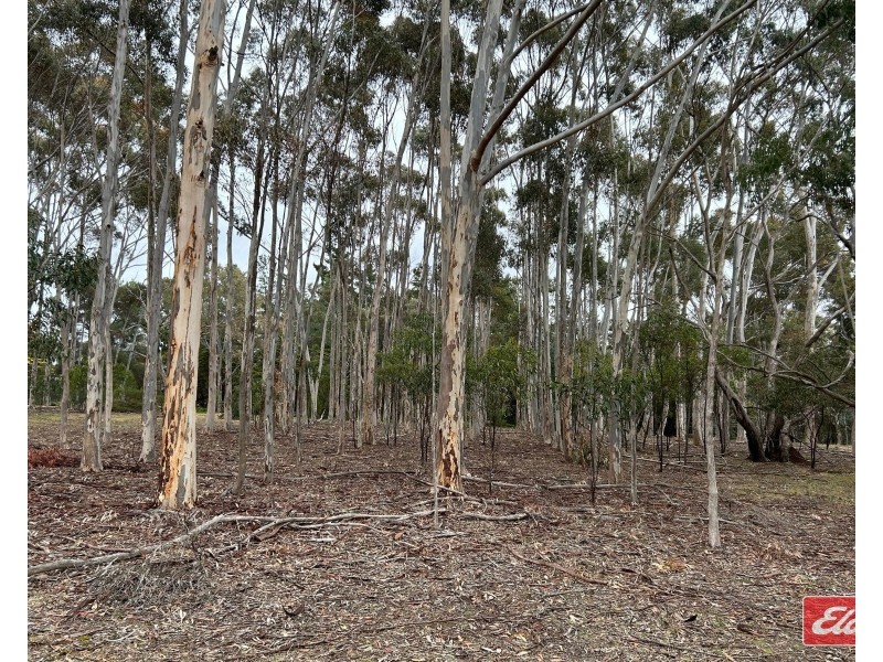 Lot 6 Alexander Murray Road, Williamstown SA 5351