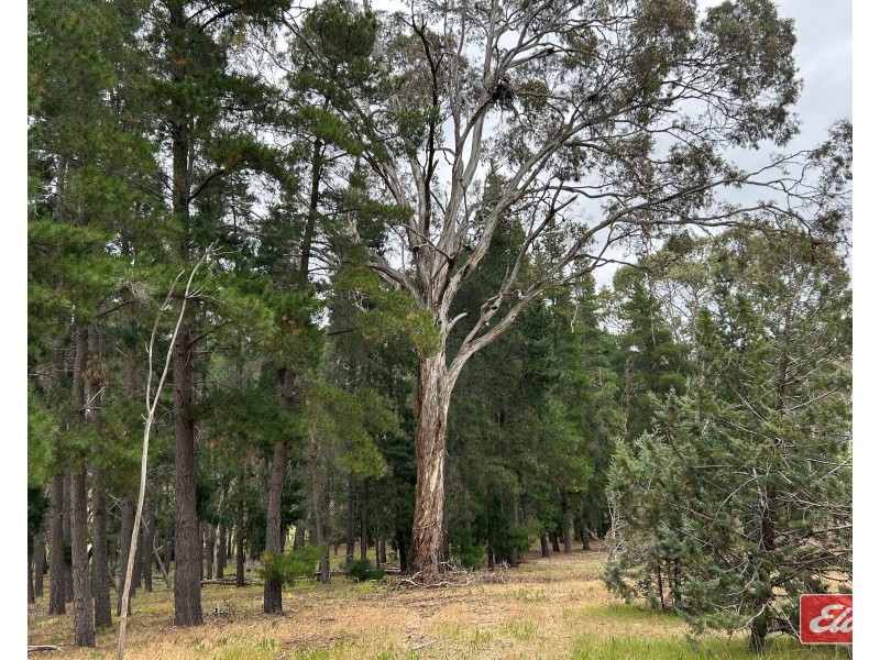 Lot 9 Alexander Murray Road, Williamstown SA 5351