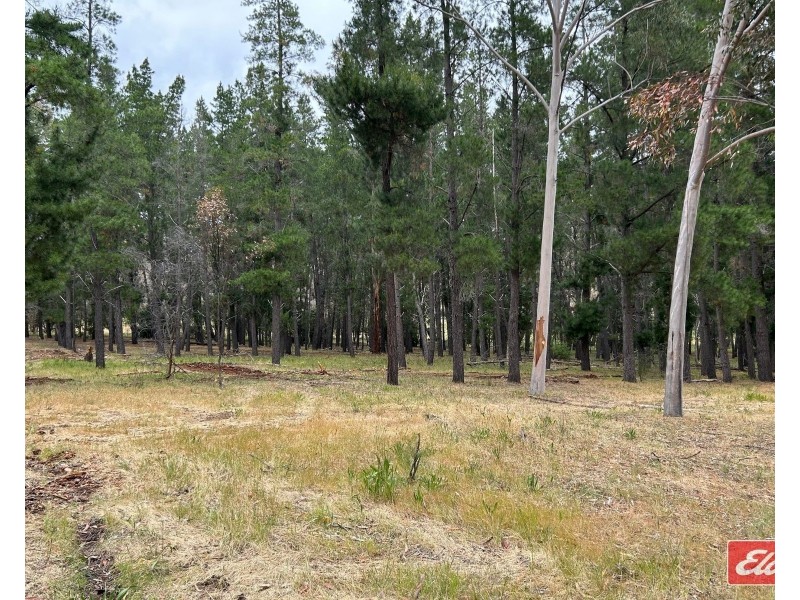 Lot 9 Alexander Murray Road, Williamstown SA 5351