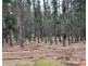 Lot 9 Alexander Murray Road, Williamstown SA 5351