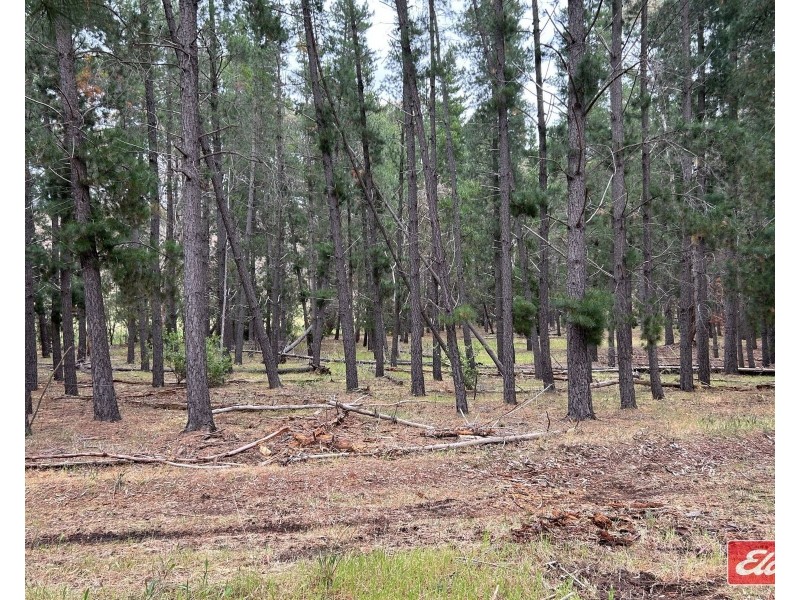 Lot 9 Alexander Murray Road, Williamstown SA 5351